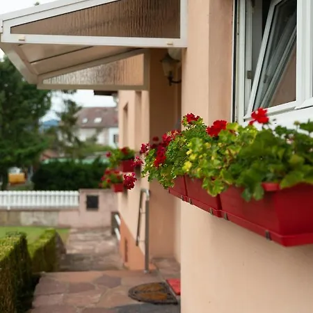 Villa Au Coeur De L'alsace Maison Gatsby *