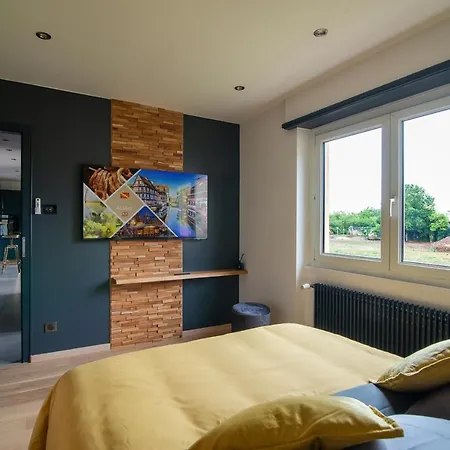 Villa Au Coeur De L'alsace Maison Gatsby