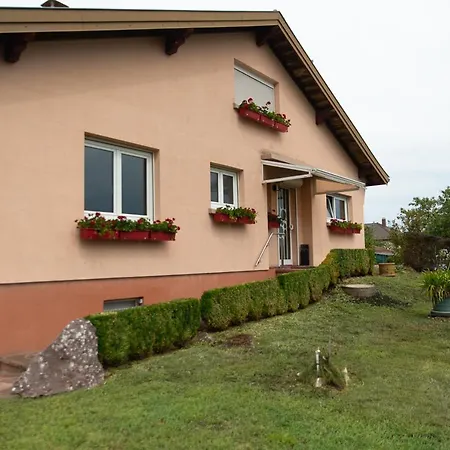 Au Coeur De L'alsace Maison Gatsby Staffelfelden