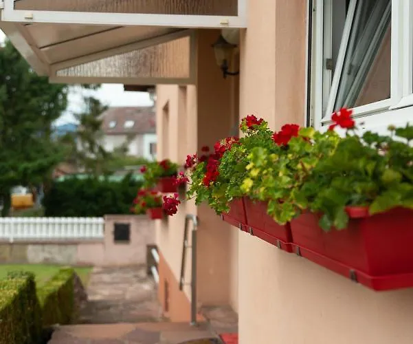 Villa Au Coeur De L'alsace Maison Gatsby *