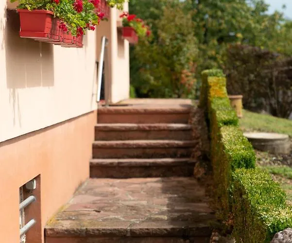 Au Coeur De L'alsace Maison Gatsby Villa Staffelfelden